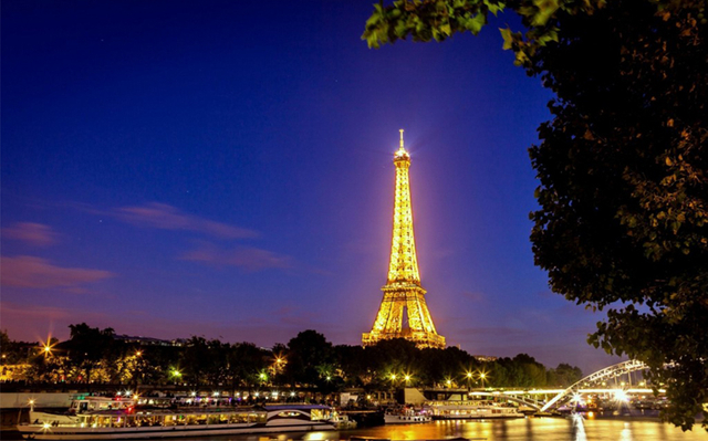 paris-france-eiffel-tower-lighting-tree