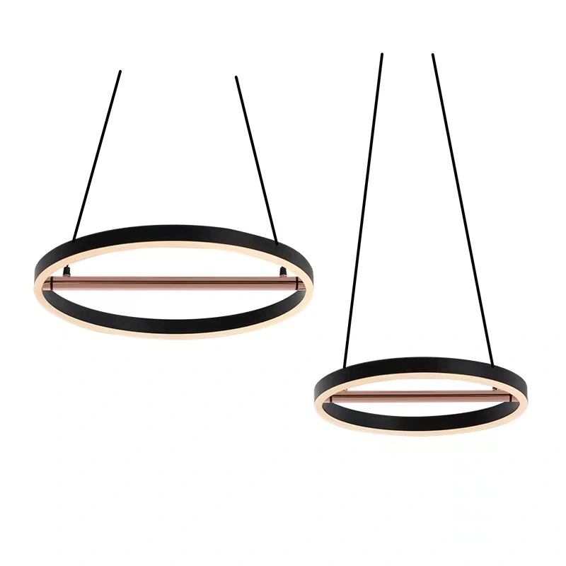 Nordic style simple modern multi-scene chandelier with ring lines