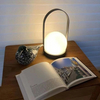 Nordic Simple And Elegant Portable Outdoor Desk Lamp