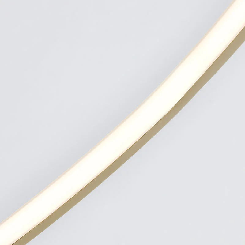 Simple, modern and advanced Nordic line-sensing ring ceiling lamp