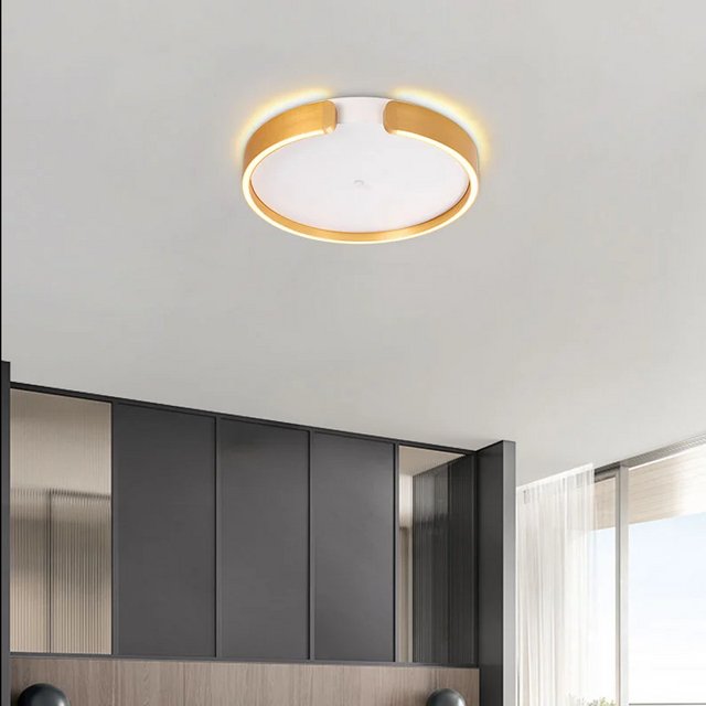 Modern simple annular ceiling lamp for corridor living room