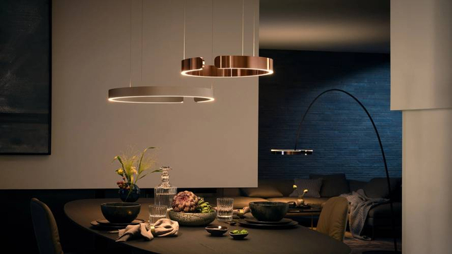 Circular-Pendant Lights Portfolio